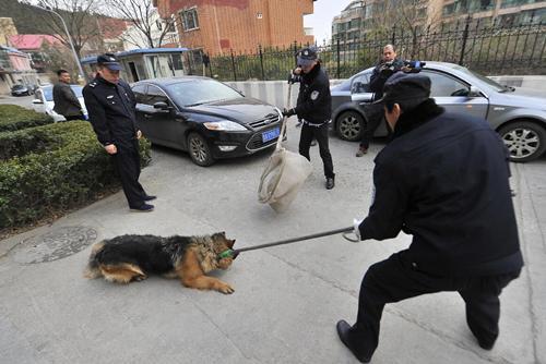 警察在什么情况下可以抓狗？（狗养狗民警）