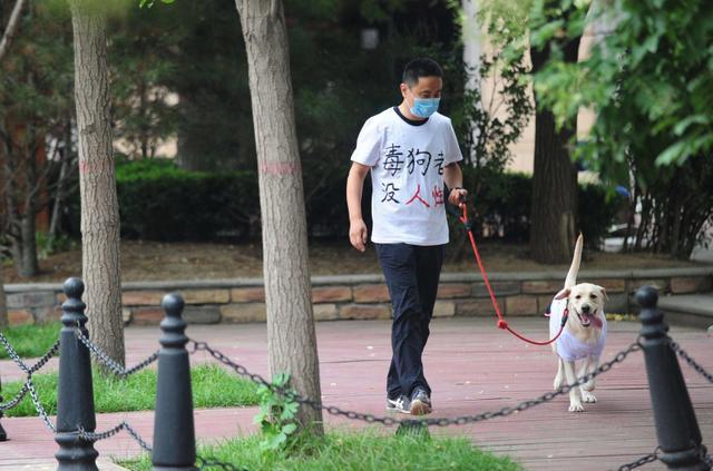 养犬新规定，遛狗时给狗戴口罩，你怎么说？（养猫防护口罩）