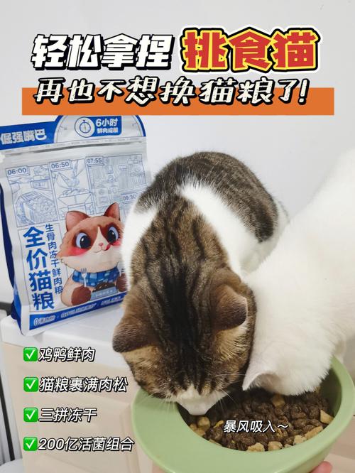 肉粉粮对猫有什么影响？（可乐想养猫）