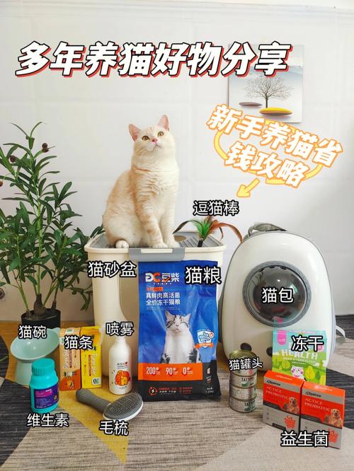 养猫一年的花销有多少？（自动养猫器）