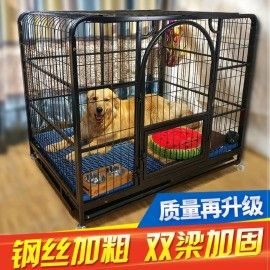 秋田犬适合什么尺寸的笼子？（养狗尺寸）