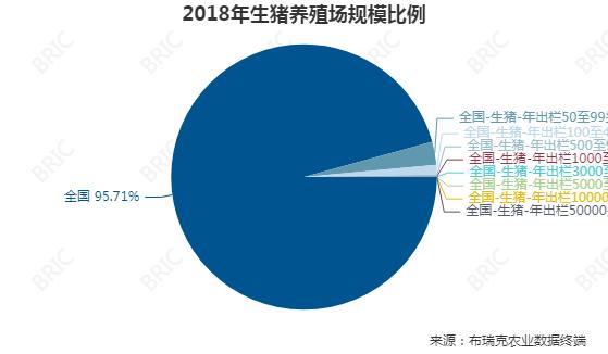 河北省规模化养殖场标准？（河北生猪养殖数量）