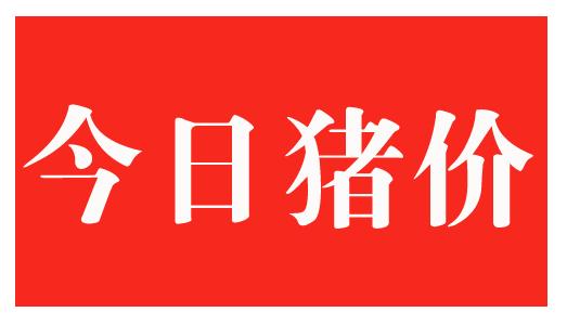 潮汕人满月回礼一般送什么？（拮西生猪价格）