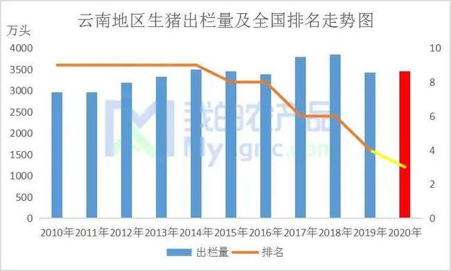 全国牛羊存栏量排行？（云南生猪存栏量）