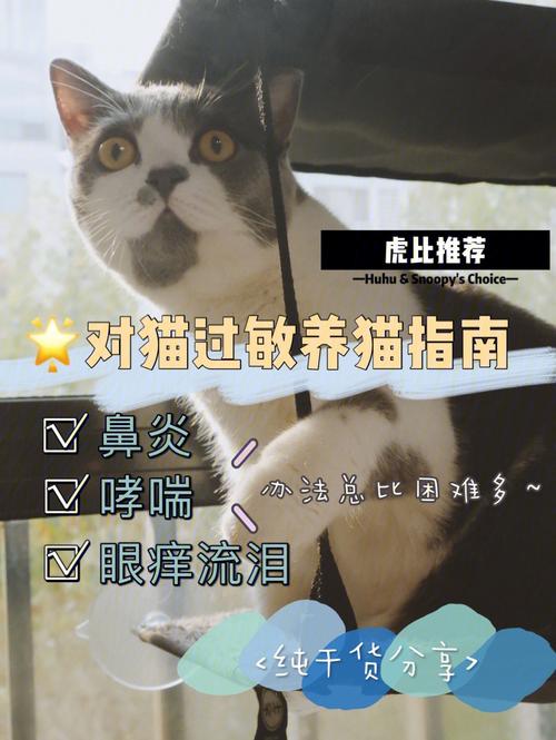 有过敏性鼻炎的人怎么养猫？（养猫跟鼻炎）