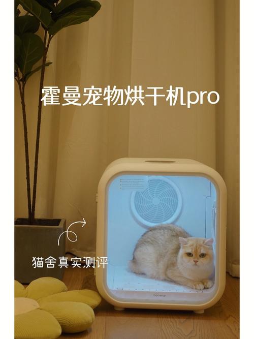 开个猫舍能挣钱吗？（养猫用加湿器）