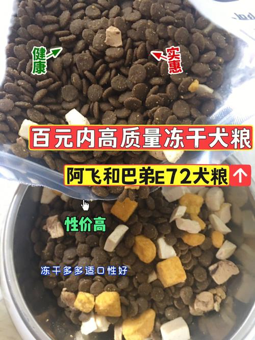 阿飞和巴弟1.5公斤的狗粮多少钱一袋？（阿飞养狗）