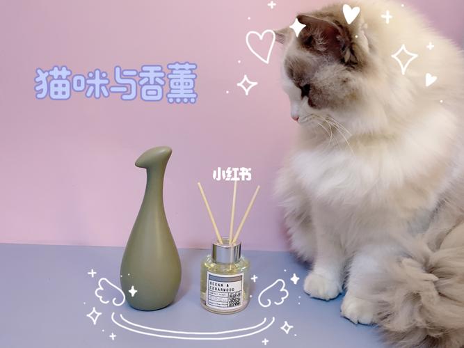 养猫可以点香熏蜡烛吗？（养猫淘气值）