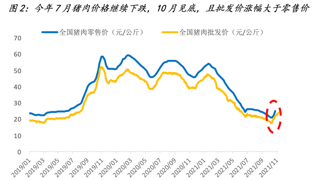 猪肉批发价和零售价怎么定？（生猪价格由什么决定）