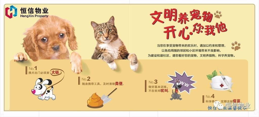 家庭文明礼貌用语？（文明养猫狗）