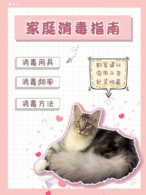 养猫家里怎么消毒除味？（养猫后消毒）