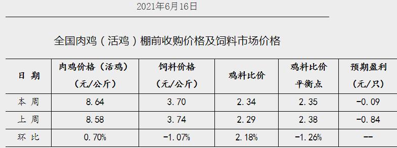 周口骆驼牌肉鸡饲料最新价格？（周口近期生猪价格走势）