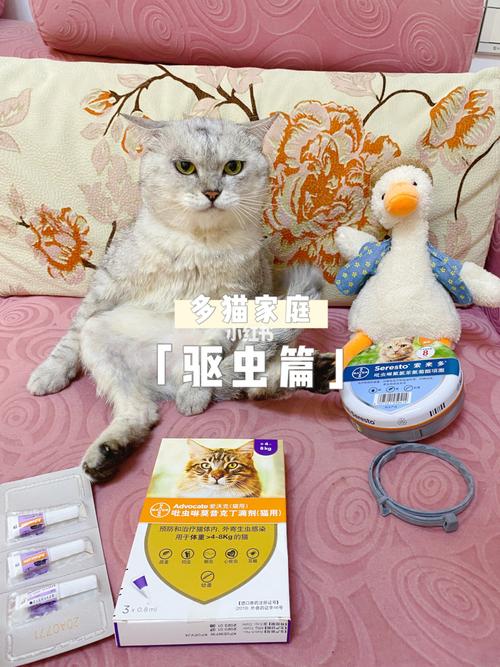 多猫家庭怎么驱虫？（二狗养猫）