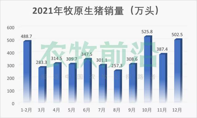 牧原股份有多少头猪？（牧原股份生猪出栏量）