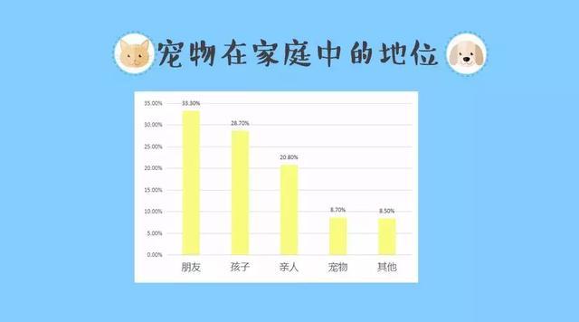 狗狗乐园盈利模式？（养猫的商机）