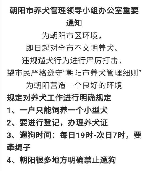 养犬地址怎么写？（朝阳养狗）