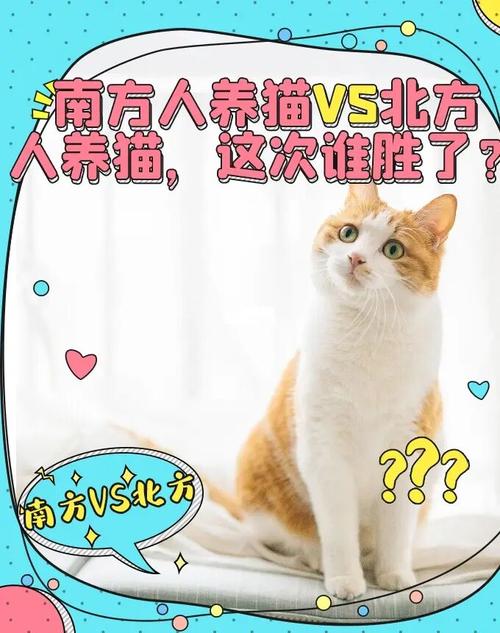 养猫的为什么东北人多？（武汉养猫防病）