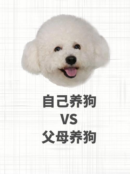 养犬和养狗有什么区别？（养狗差别）