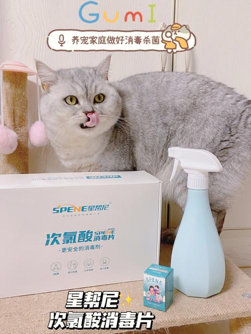 酒精可以给宠物消毒吗？（养猫酒精消毒）