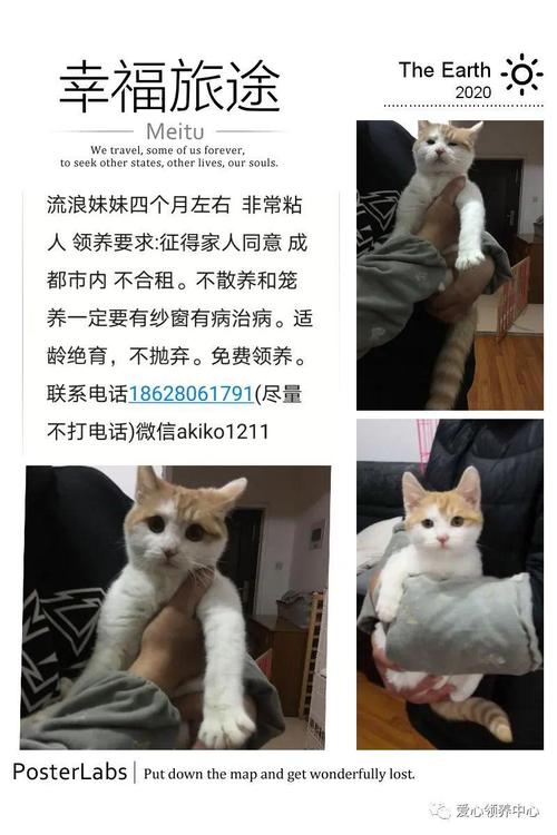 快递仲裁是什么意思？（领养猫仲裁）