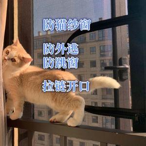 养猫的家庭怎么驱蚊子？（养猫开纱窗）