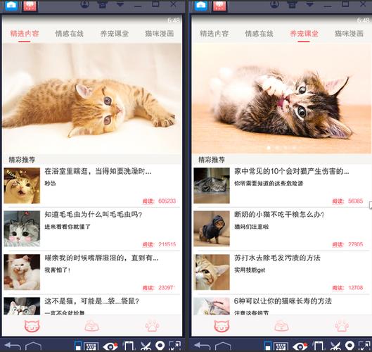 家里养猫电脑怎么保护？（那个养猫软件）