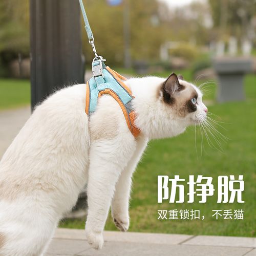 法律规定猫需要牵绳吗？（养猫栓绳）