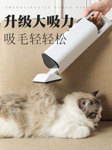 室内养猫要用吸尘器么？（养猫人毛毛）