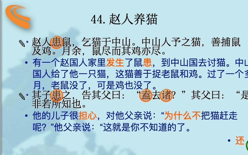 猫是什么体裁的文章？（养猫的翻译）