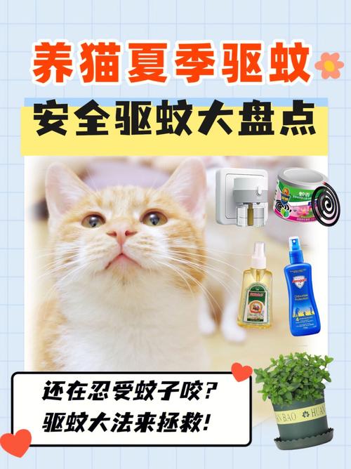 养猫招蚊子吗？（养猫蚊虫多）