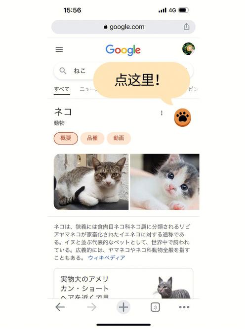 交易猫能买手机吗？（养猫玩手机）