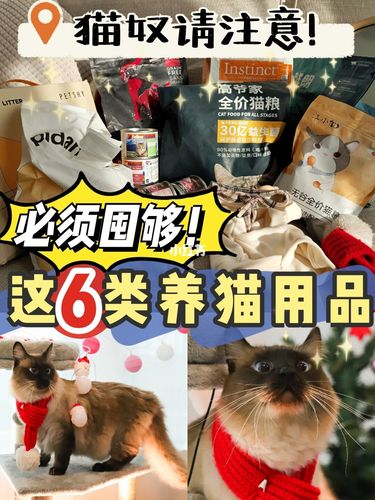 猫用品店利润怎么样？（养猫咪投资）