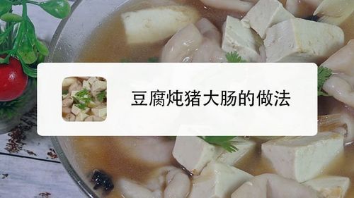 邯郸豆腐汤怎么做？（邯郸生猪）