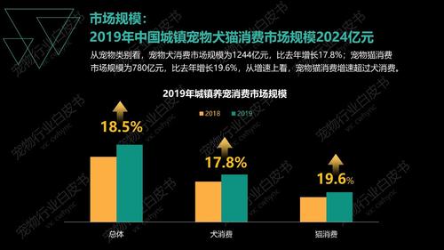 2021年猫砂生产有市场前景吗？（养猫刚需）