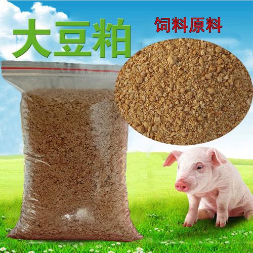 豆粕和黄豆喂猪那个好？（豆粕 生猪）