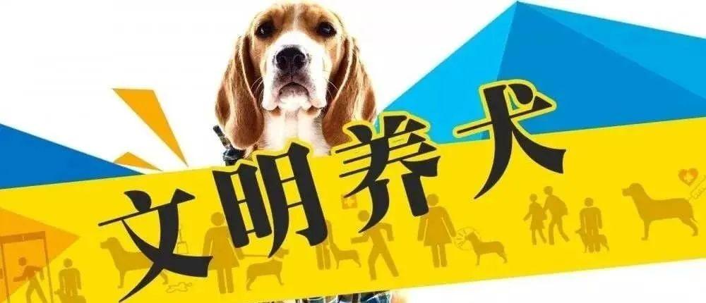 城市养狗，有没有明确规定，必须有狗证才能养大型犬？（大行养狗）