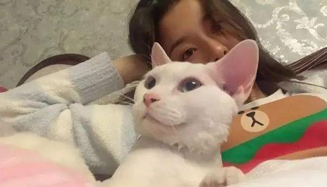 女孩子养猫到底好不好？（13岁养猫）