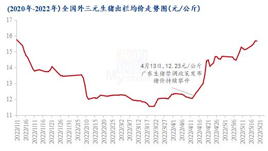 猪肉价格中内三元和外三元是什么意思？（生猪外市）