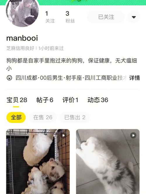 卖狗狗的闲鱼怎么写？（领养猫自提）