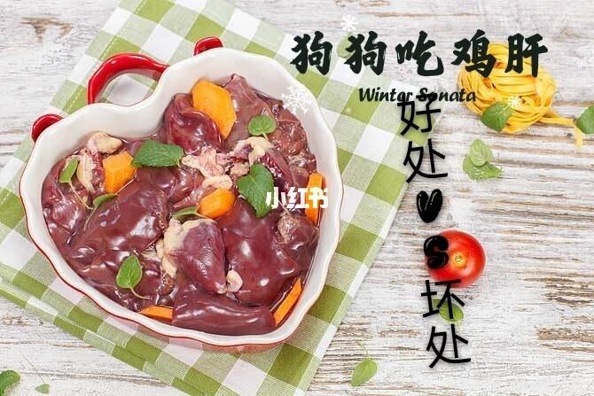 狗狗吃生鸡肝好吗？（内脏养狗）