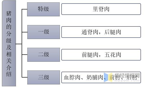 猪肉分等级吗？（生猪级别）