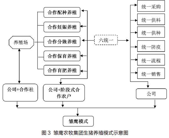 家庭牧场经营模式？（生猪牧场）