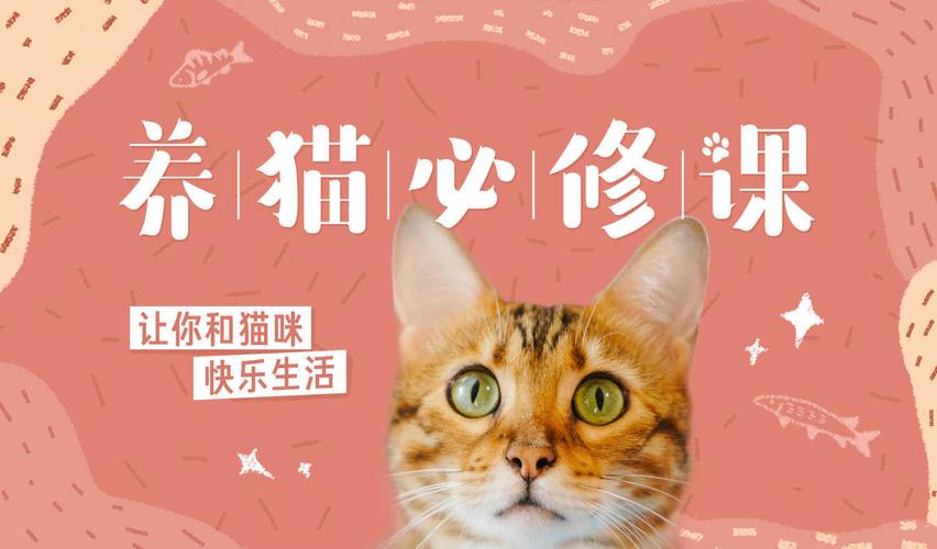 南通职业大学让养猫吗？（职业是养猫）