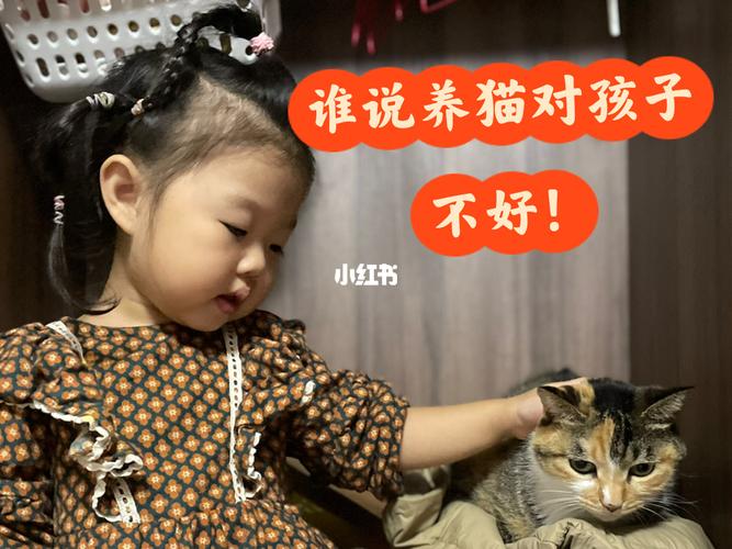 养猫必须陪他玩吗？（养猫陪娃）