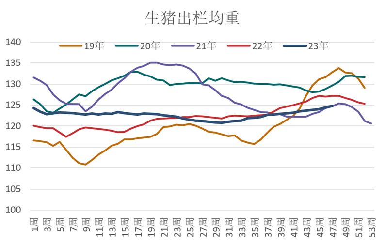 2021半夏行情怎么样？（安国生猪行情）