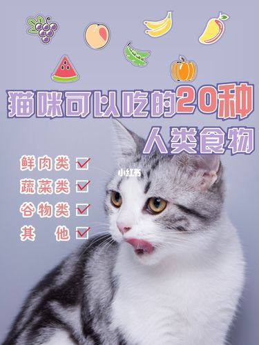 有哪些食物是猫咪不能吃的？（养猫后尿频）