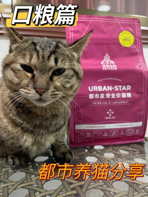 辽宁省哪个城市养猫的养殖户最多？（城市养猫吗）