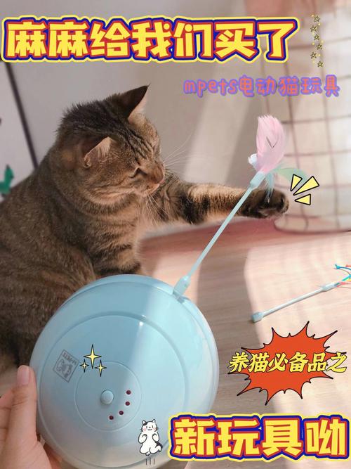 猫最爱玩的10种玩具？（养猫咪玩具）