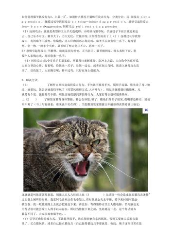 第一章养猫要注意什么？（养猫问答卷）