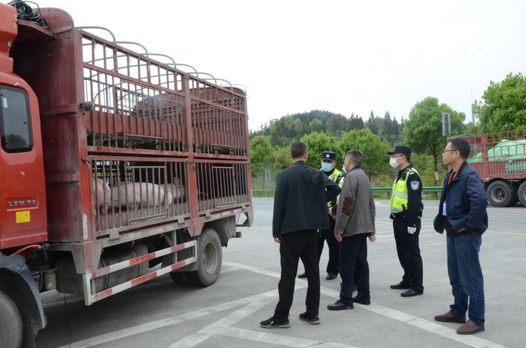 农业执法管农民喂猪吗？（生猪屠宰执法）